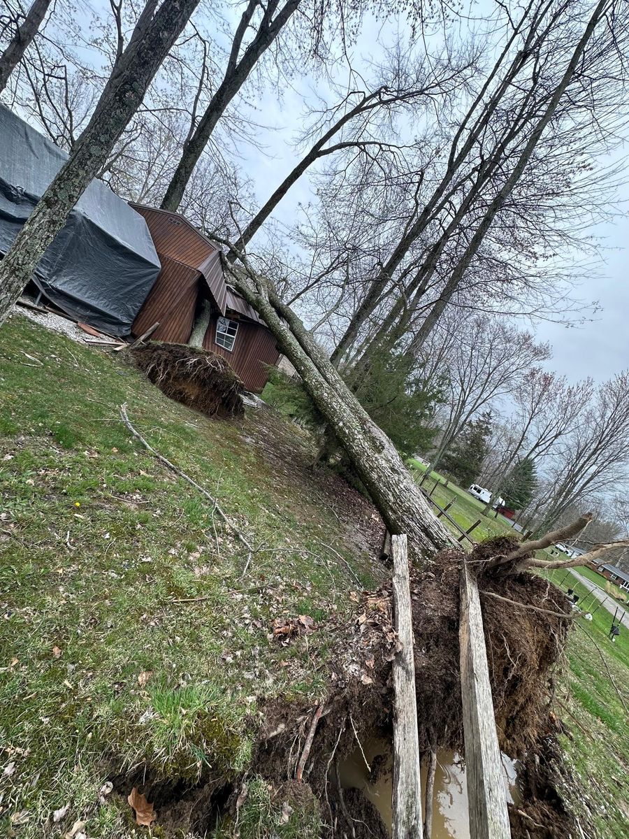 Tree Removal for Anstaetts Tree Service in Batavia, OH