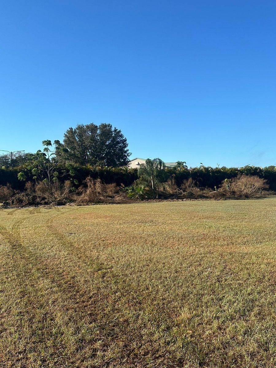 Tree Trimming & Removal for Windspirit Land Services in Hillsborough County, FL