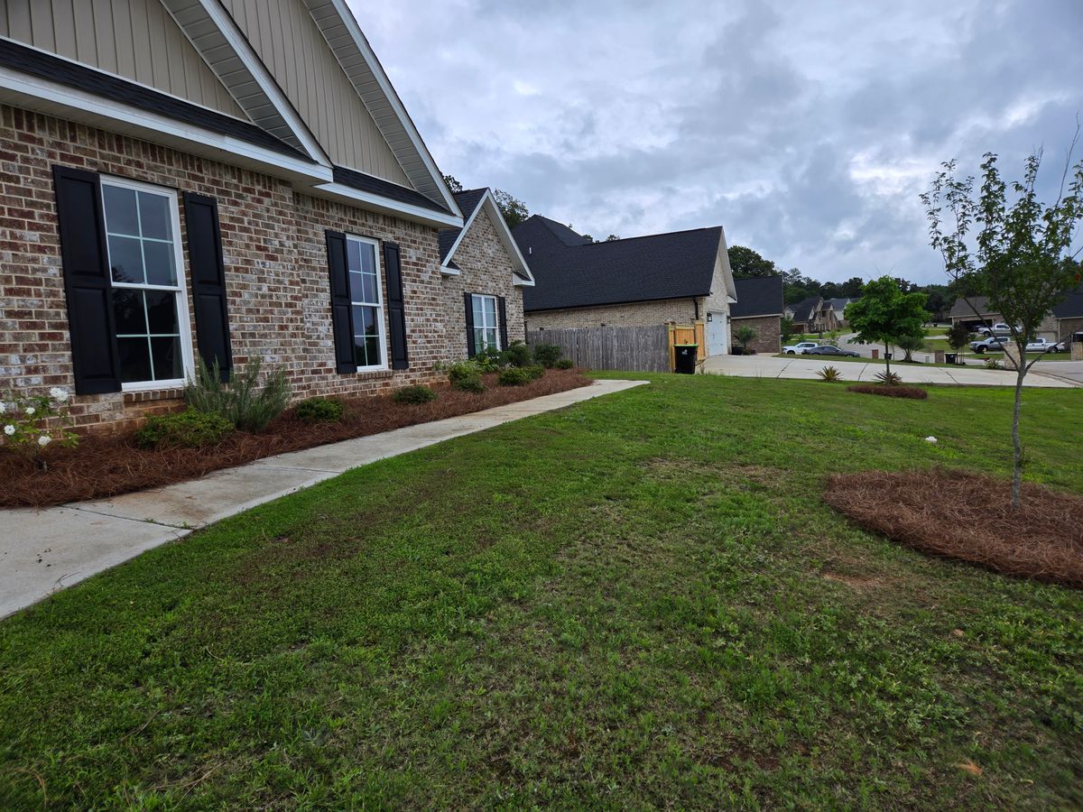 Pinestraw Install for Zepeda's Mowing in Fort Valley, GA