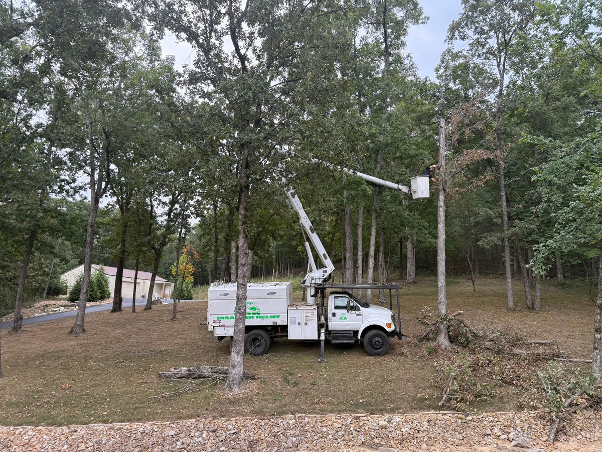 Tree Removal for Lightning Tree Service in Fair Grove, MO