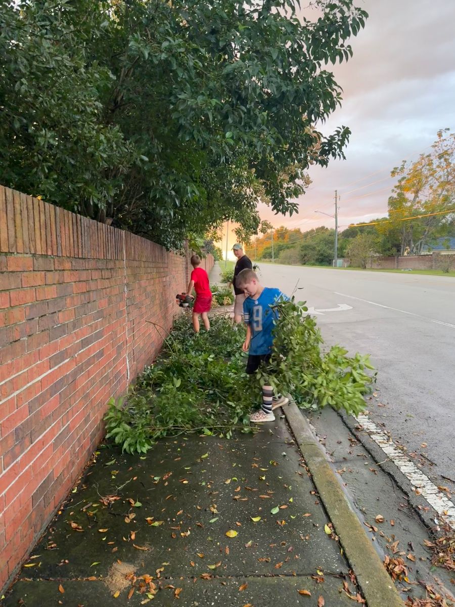 Tree Pruning for Amerigrown Tree And Lawn in Apopka, FL