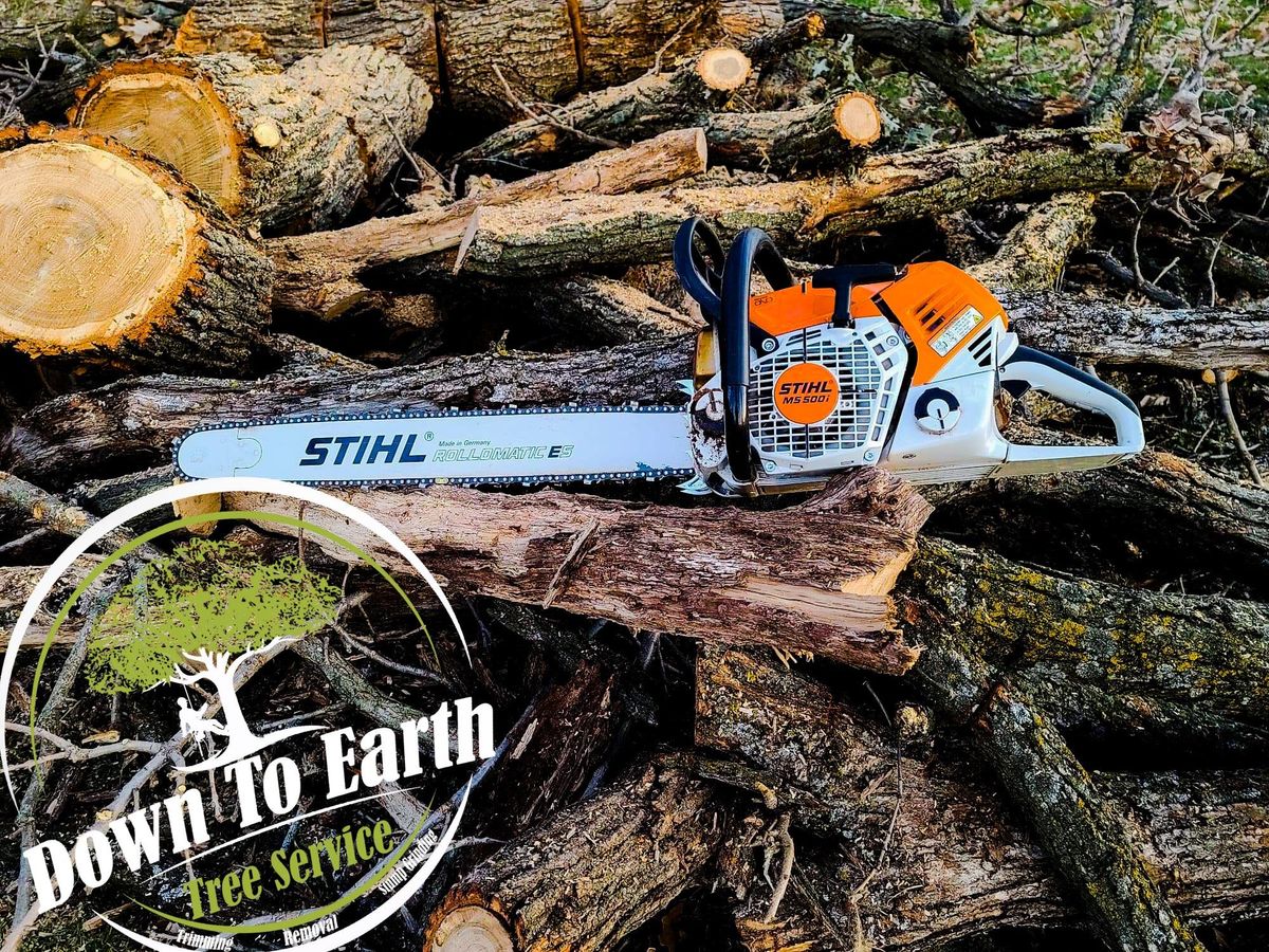 Tree Removal for Down To Earth Tree Service in Red Wing,  Minnesota