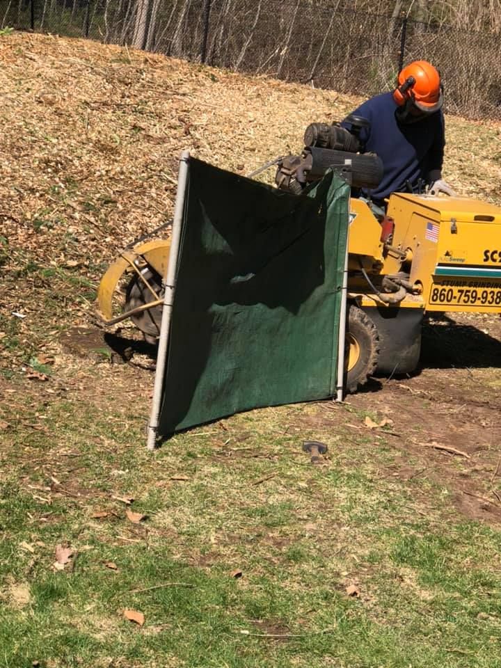 Stump Removal for Dextre Tree Service in West Hartford, CT