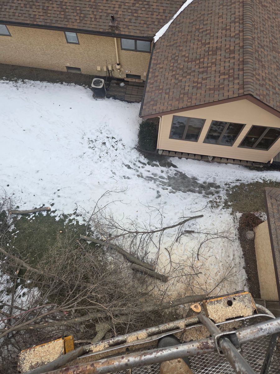 Tree Removal for K and Z Tree Care in Isanti County, MN