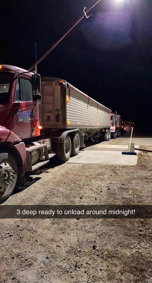 Farming for Legge Farms and Drainage in Garner, IA