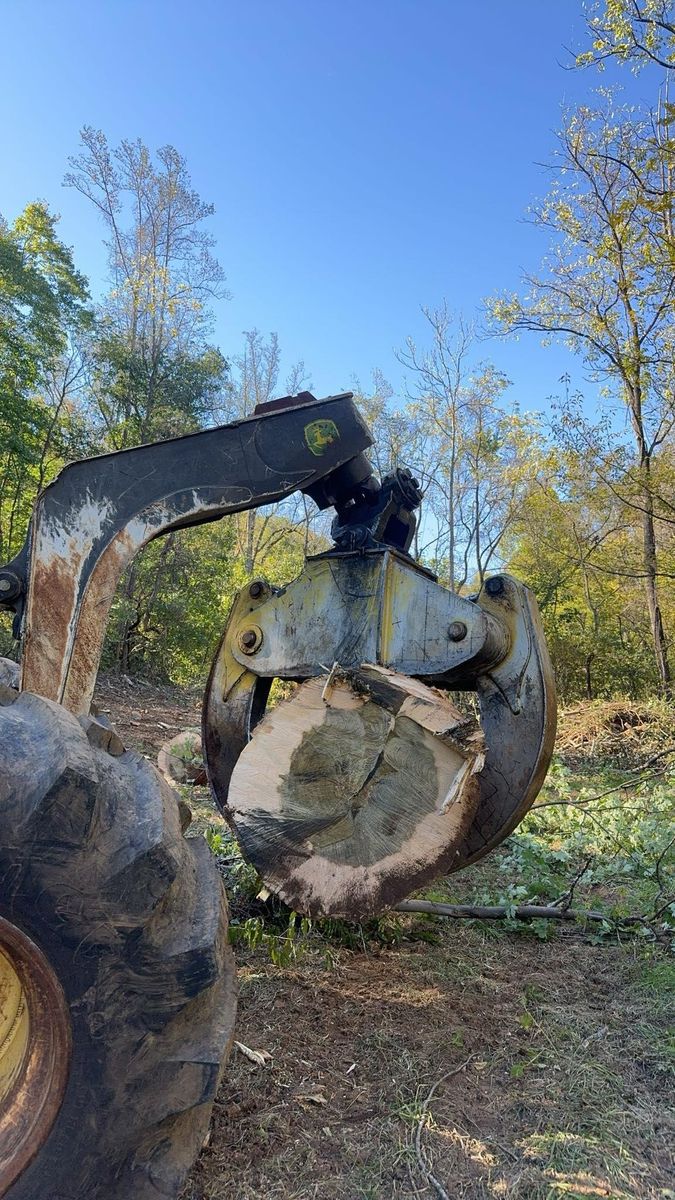 Logging for Williamson Logging in Hardy, VA