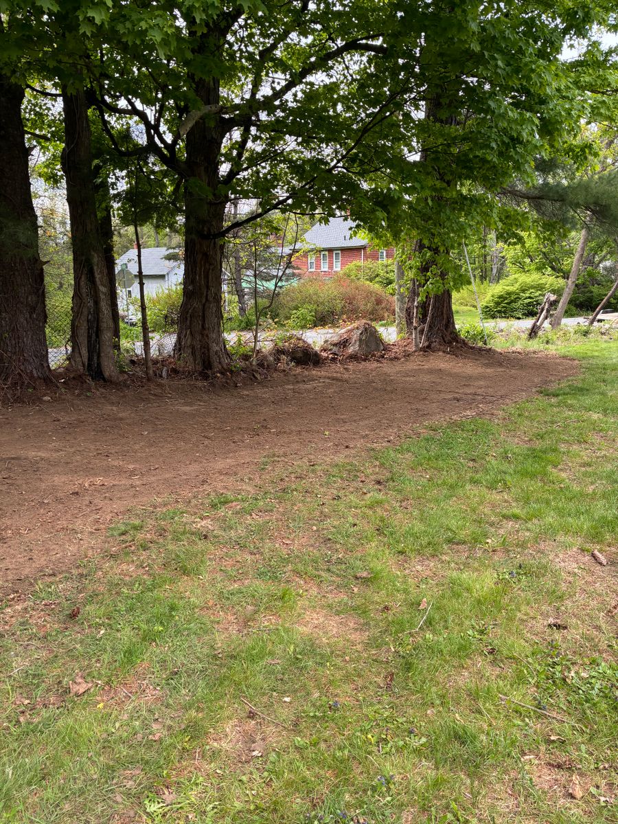 Land Clearing for JAD Excavating LLC in Goshen, CT