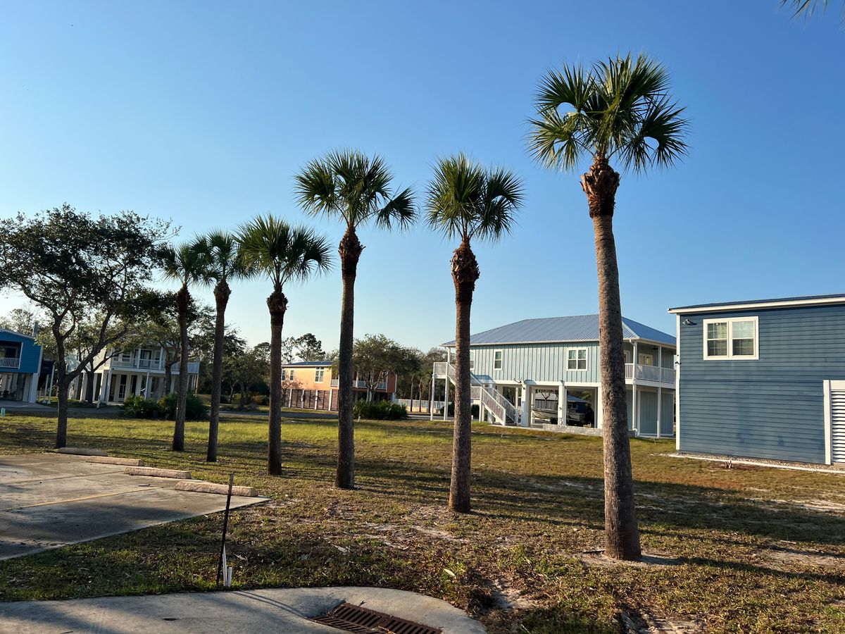 Tree service for Roberts Lawn & Landscape in Cross City, FL