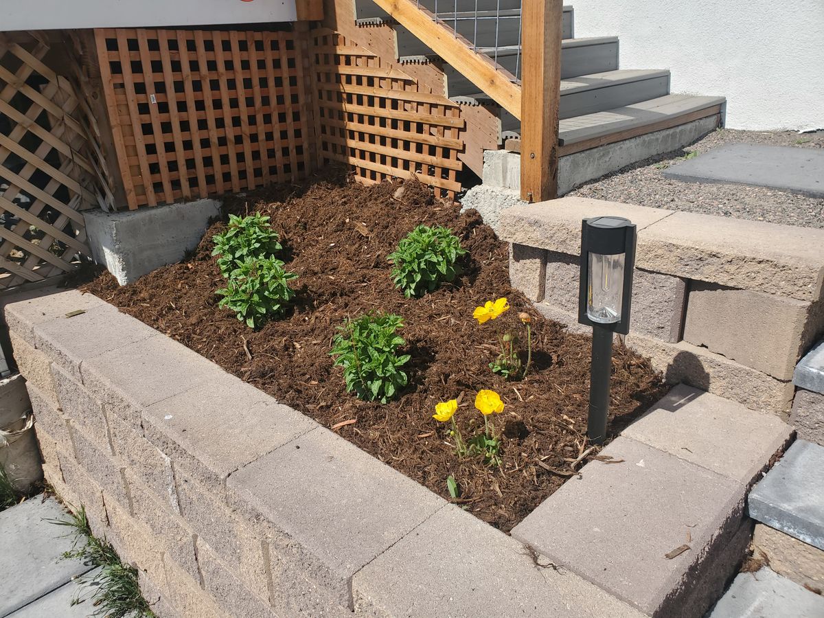Mulch Installation for JS Landscaping Colorado in Denver, CO
