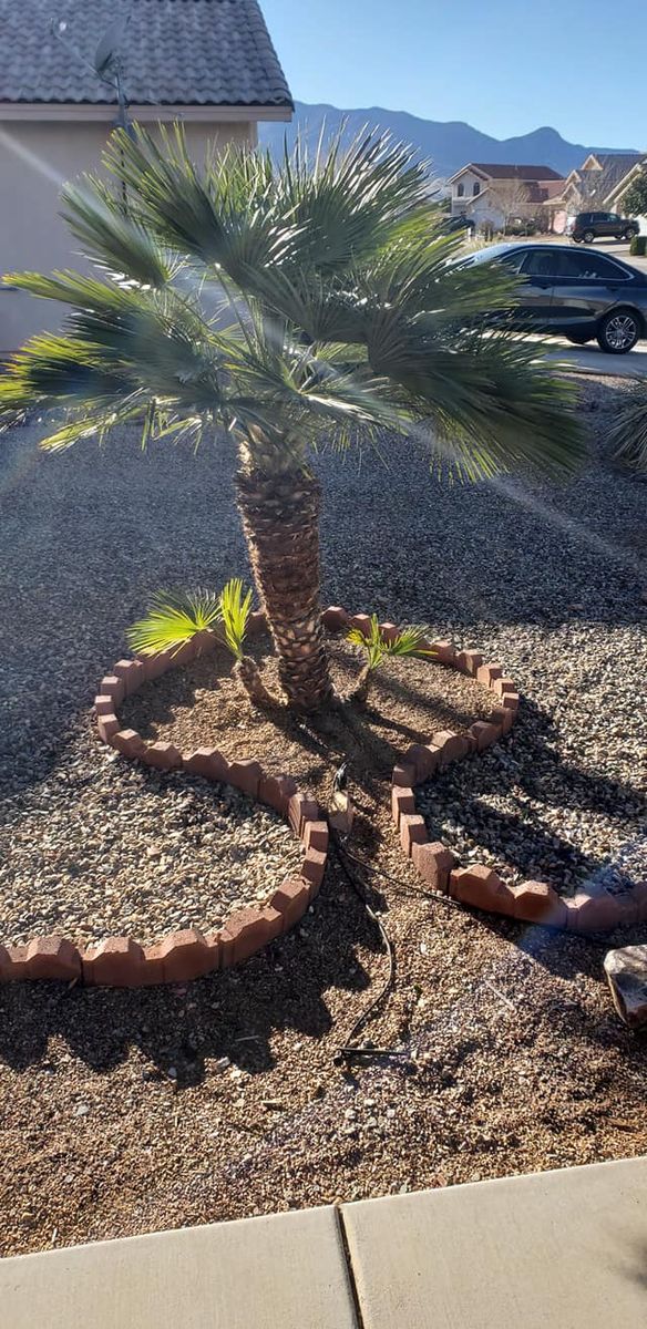 Brick Boarders for A to Z Grounds Keeping in Sierra Vista, AZ