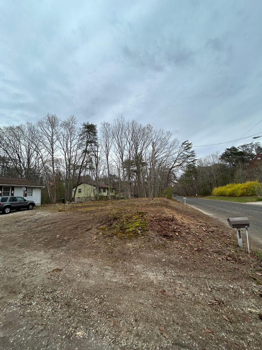 Tree Trimming for Hingewood Tree Service in Salem, NJ