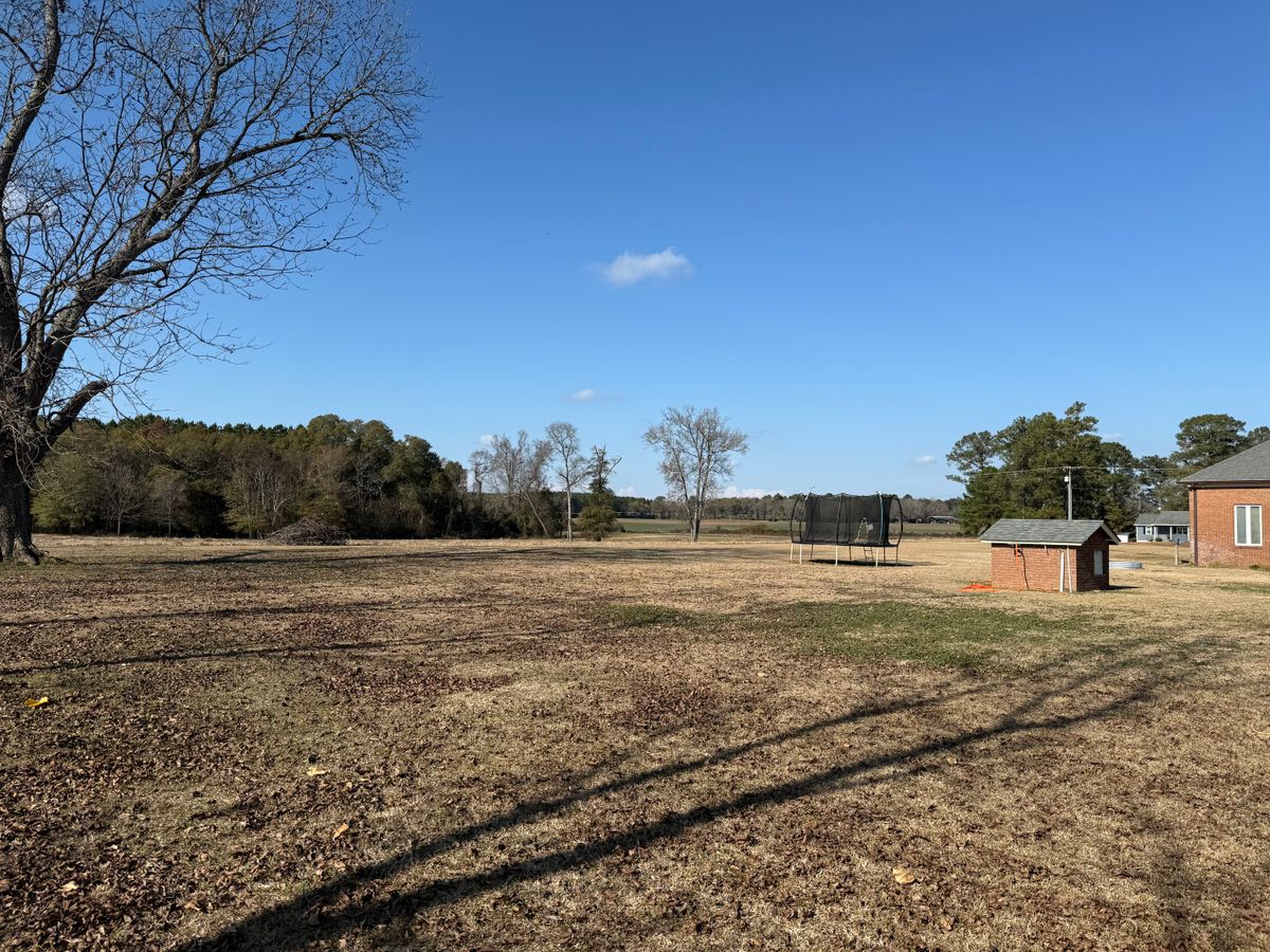 Tree Removal for T N L - Tree and Land Service in Reynolds, GA