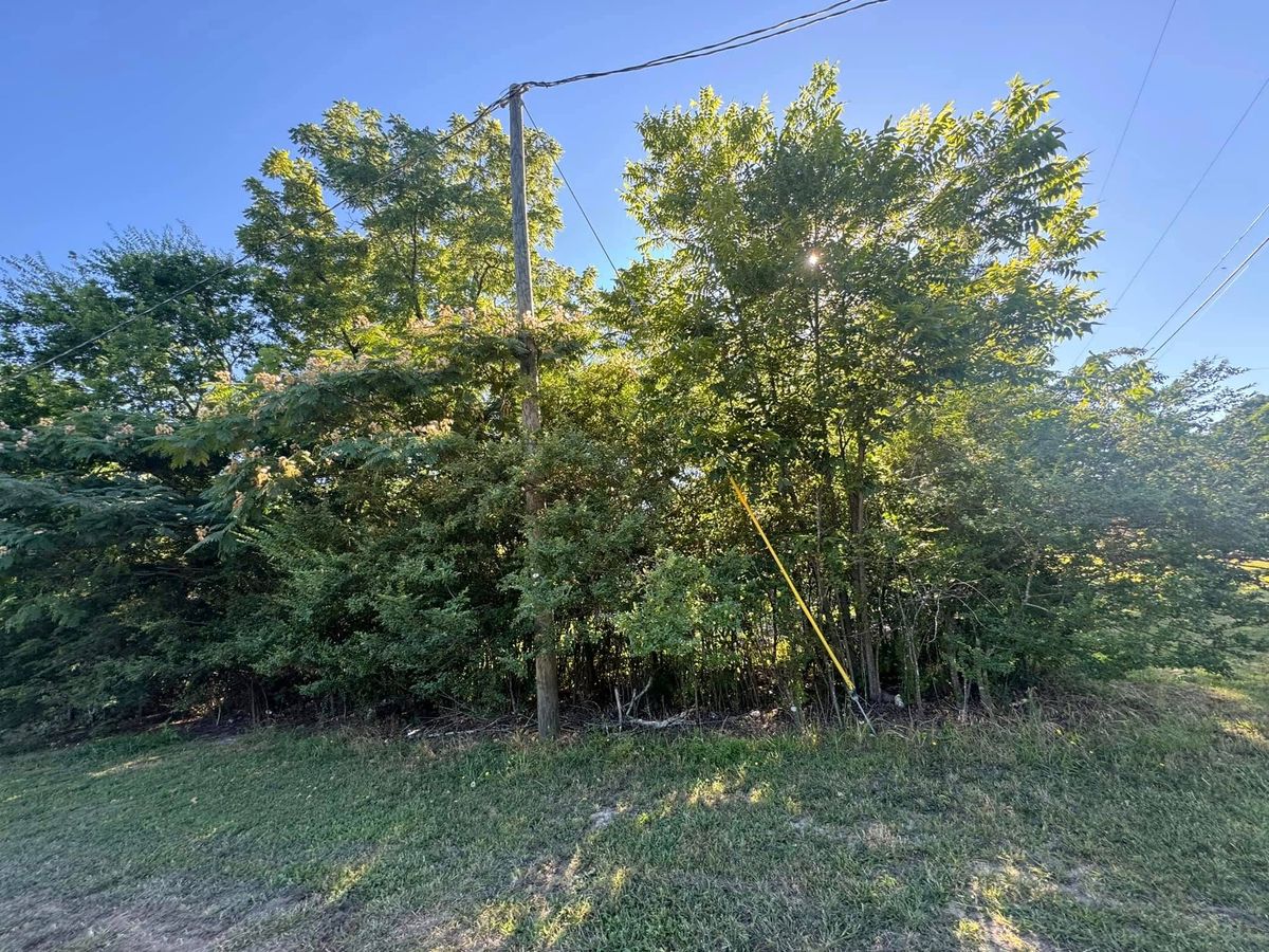 Tree Removal for Hann Land Development in Lindale, GA