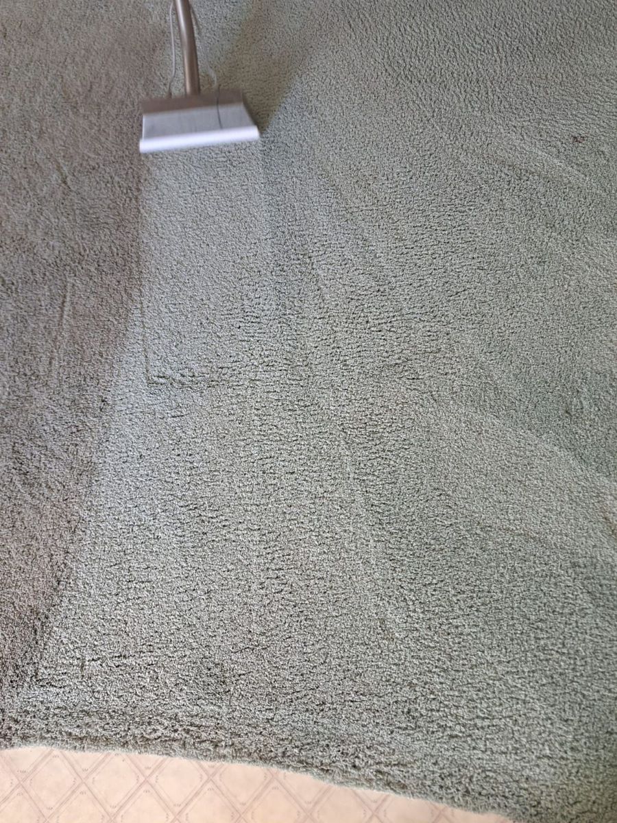 Carpet Cleaning for Naples Shine Cleaning Solutions LLC in Naples, FL