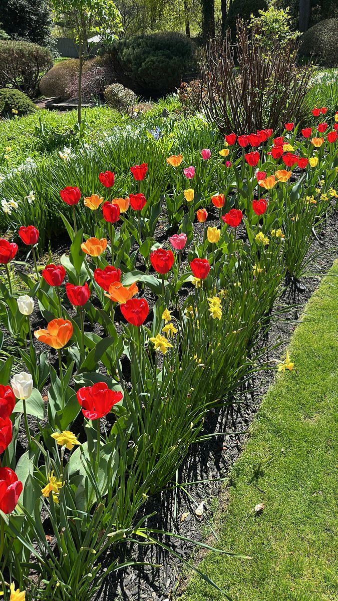 Landscape Design for Green Way Landscape and Building Maintenance in Trenton, NJ