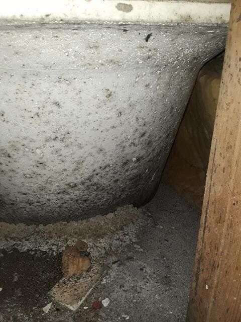 Water Damage for Titan Remediation Industries in West Palm Beach, FL