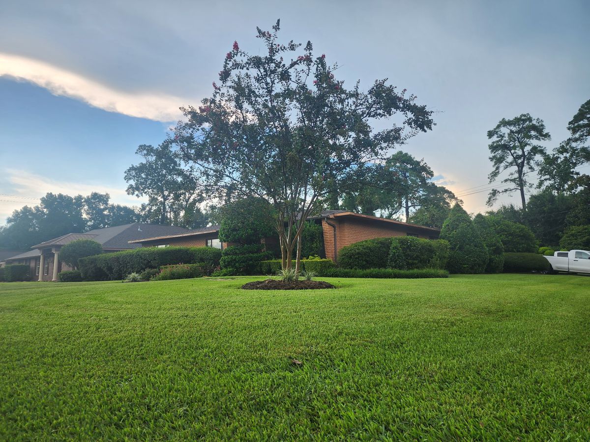 Mowing for Bruno's Professional Lawn's & Landscape in Beaumont, TX