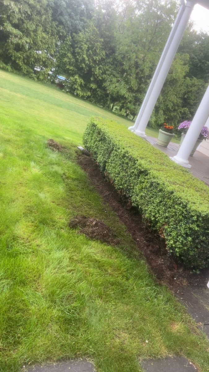 Shrub Trimming for G&M Property Service in Attleboro, MA