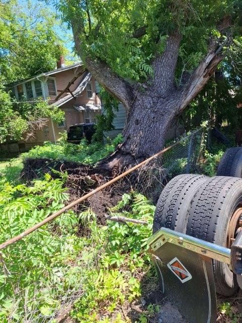 Tree Removal for Mitchell Tree Company in Lathrop, MO