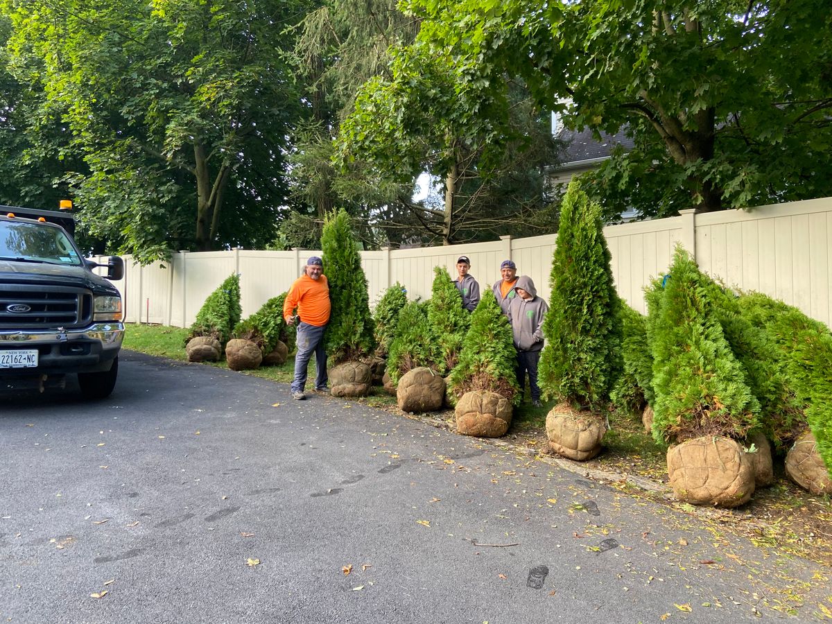 Mulch Installation for Zaldivar’s Lawn Care INC  in Peekskill, NY