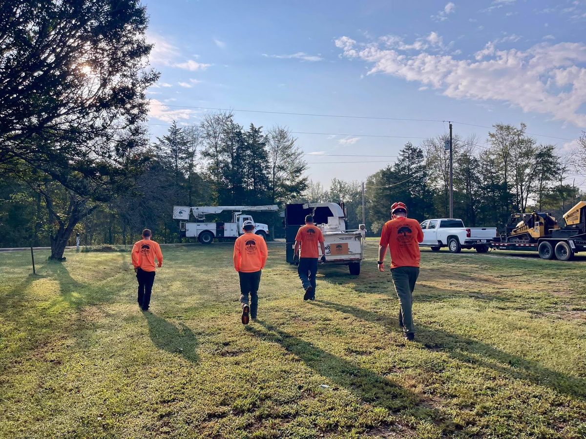 Tree Trimming for Ross Family Tree Service LLC  in Hohenwald, TN