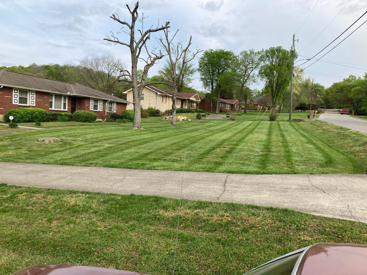 Mowing for Grass Management in Nashville, TN