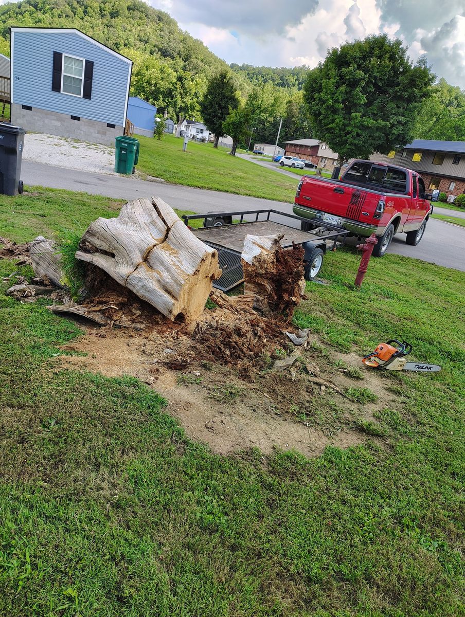 Stump Removal for Skys The Limit Tree Management in Morehead, KY