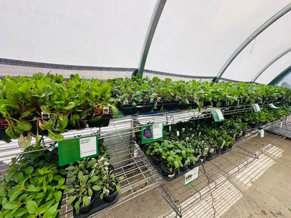 Gardening for Mayfield Landscaping in Staunton, IL