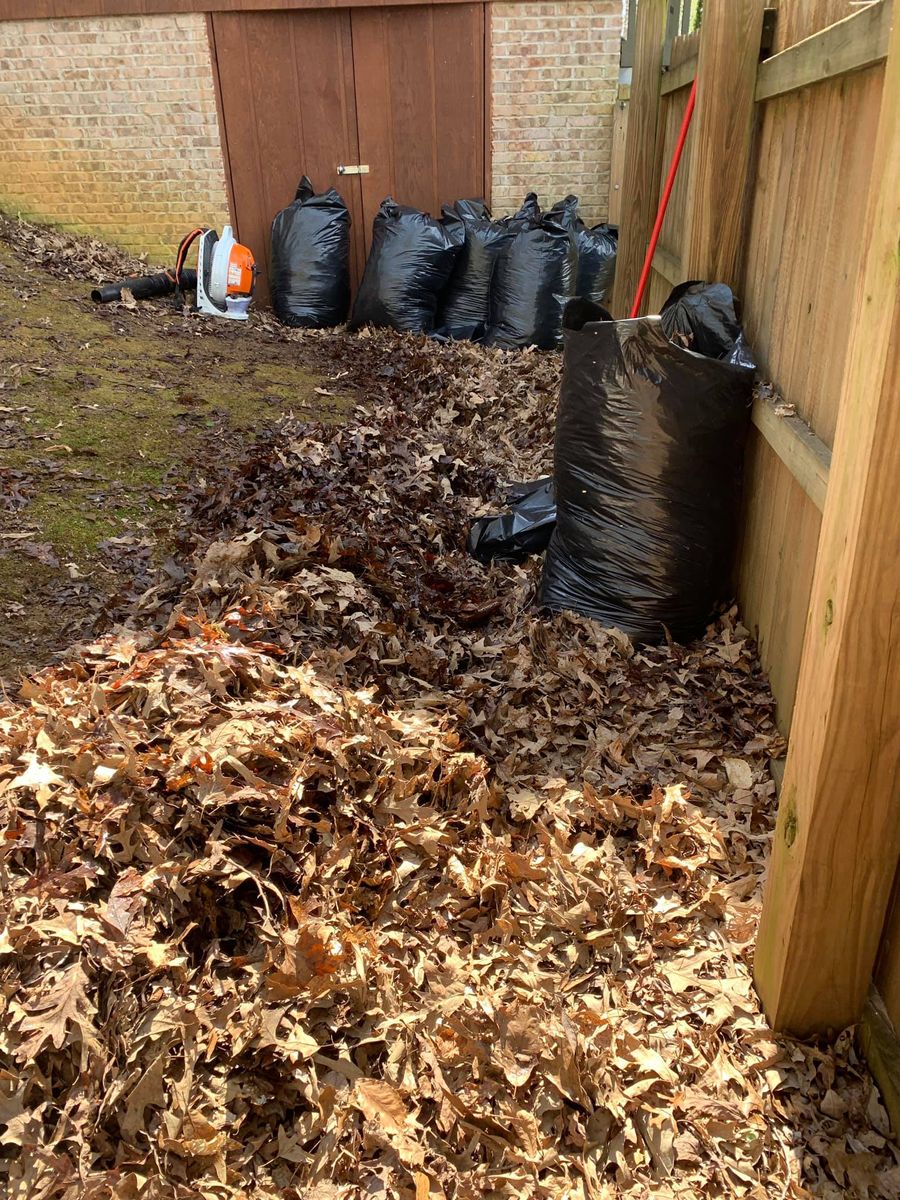 Fall Clean Up for Fenix Lawn Care in Cookeville, TN