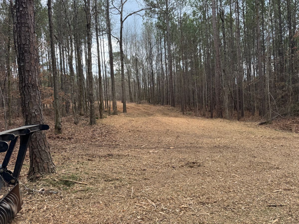 Forestry Mulching for KLNAX Enterprises in Newton County, GA