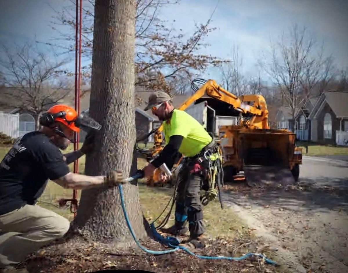 Emergency Tree Services for Hamlett Tree Service LLC in Clover, VA
