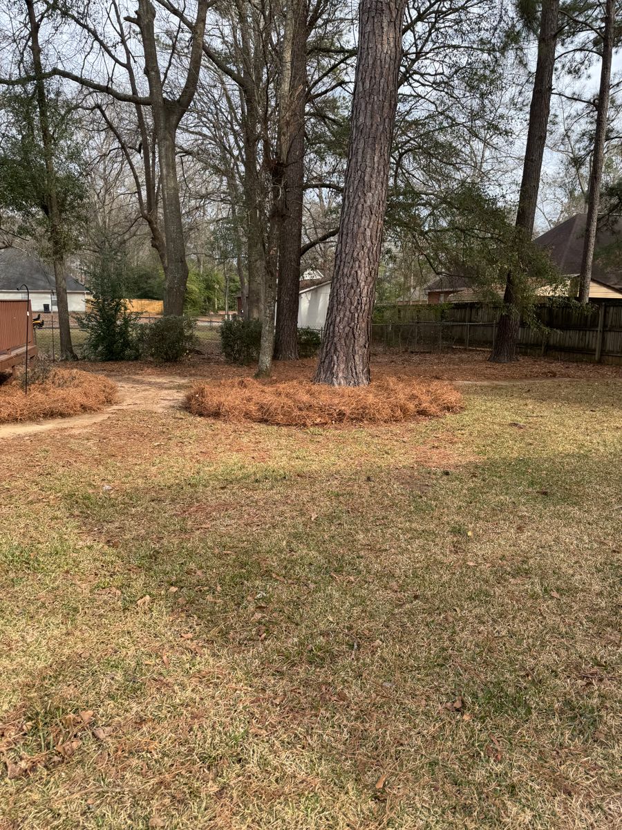 Turf, Ornamental, and Irrigation for Camalett Services in Perry, GA