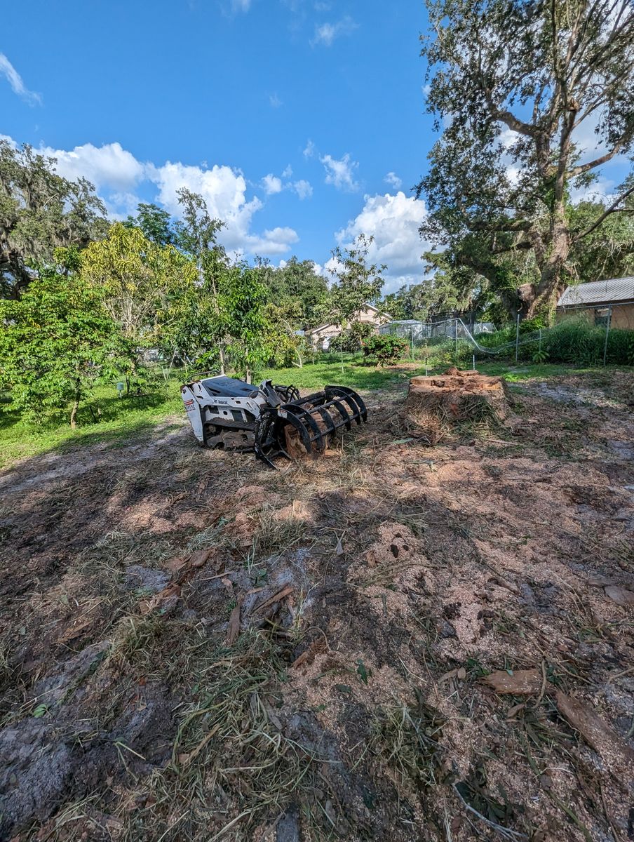 Land Clearing for Regal Tree Service and Stump Grinding in Wauchula, FL