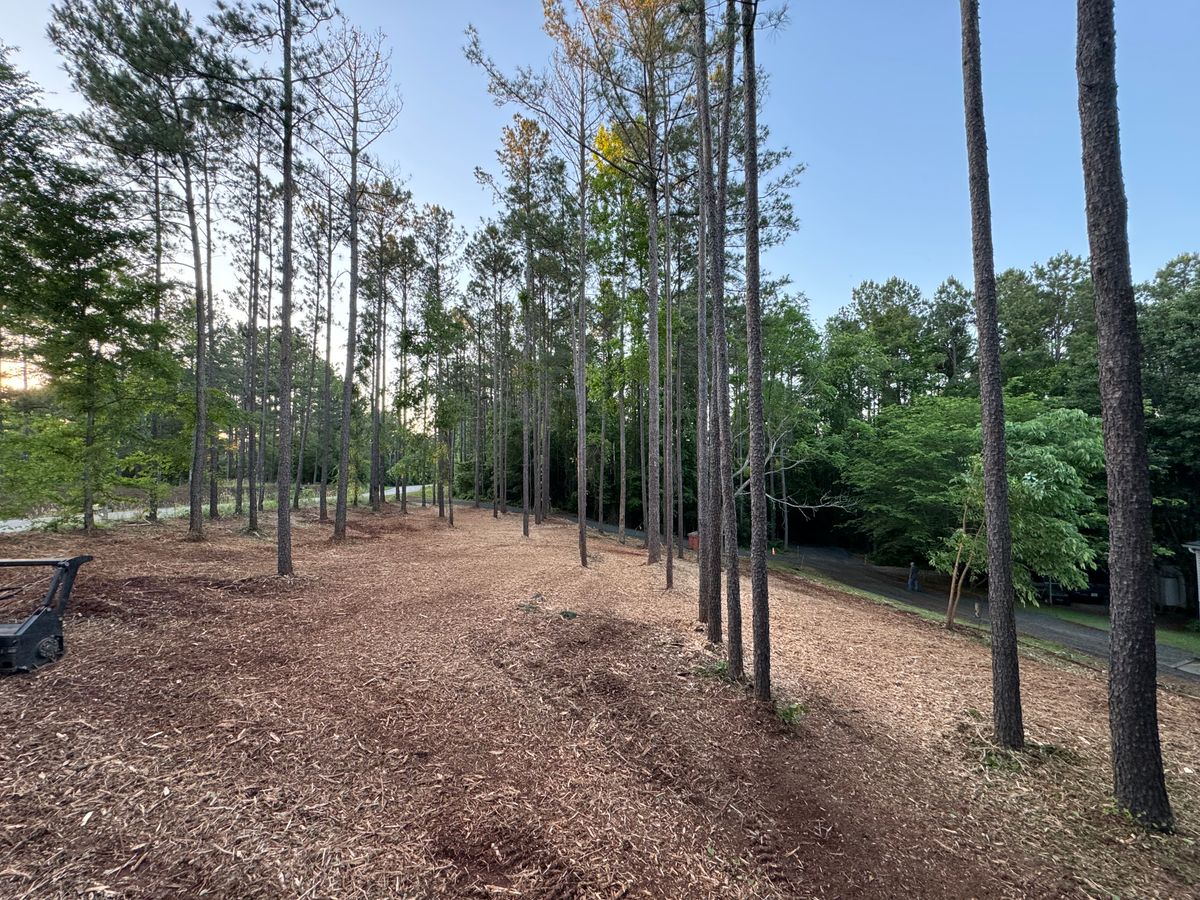 Land Clearing for Bryant's Land Services in Forsyth, GA