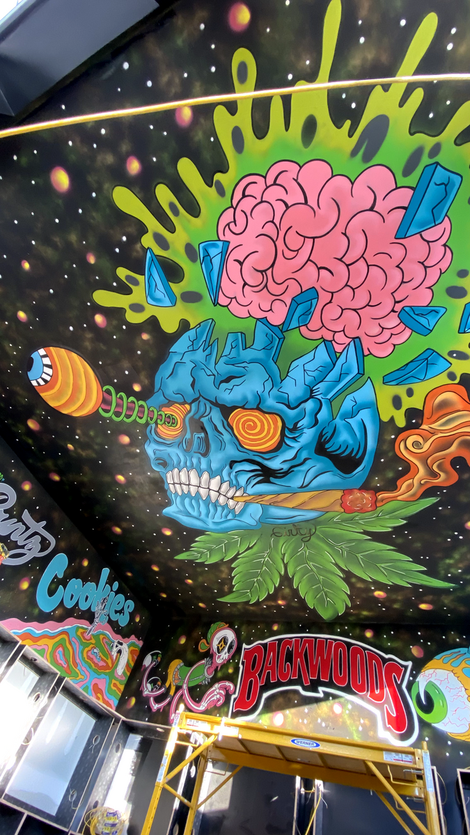 Commercial Murals for ANAEME in New York, NY