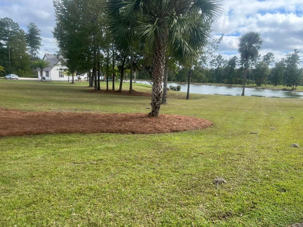 Land Clearing for Golden Isles Greenery in Brunswick, GA