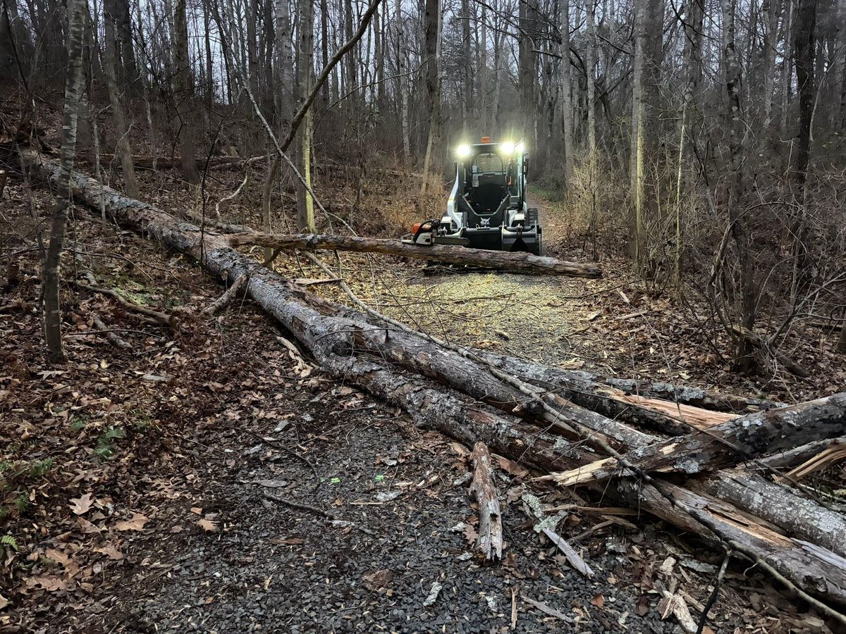 Tree Services for 9999 Building and Renovation LLC in Warrenton, VA