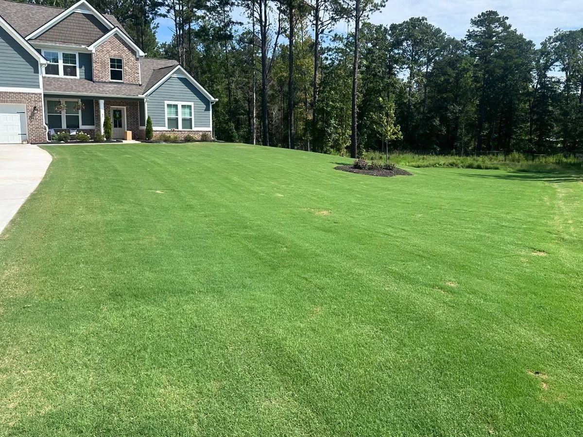 Lawn Care for Hedgecraft Landscaping LLC in Senoia, GA