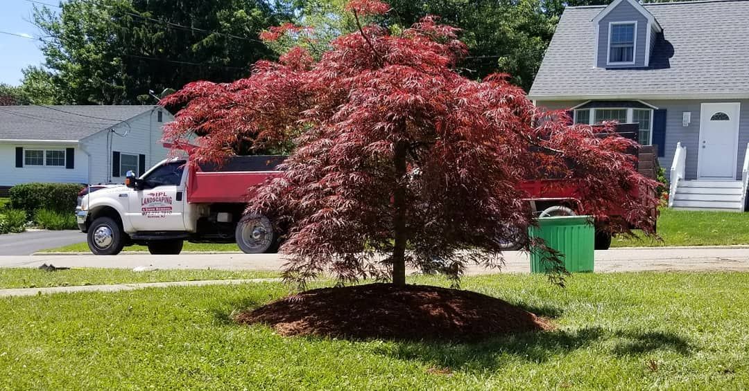 Light Tree Work for IPL Landscaping LLC in Newton, NJ