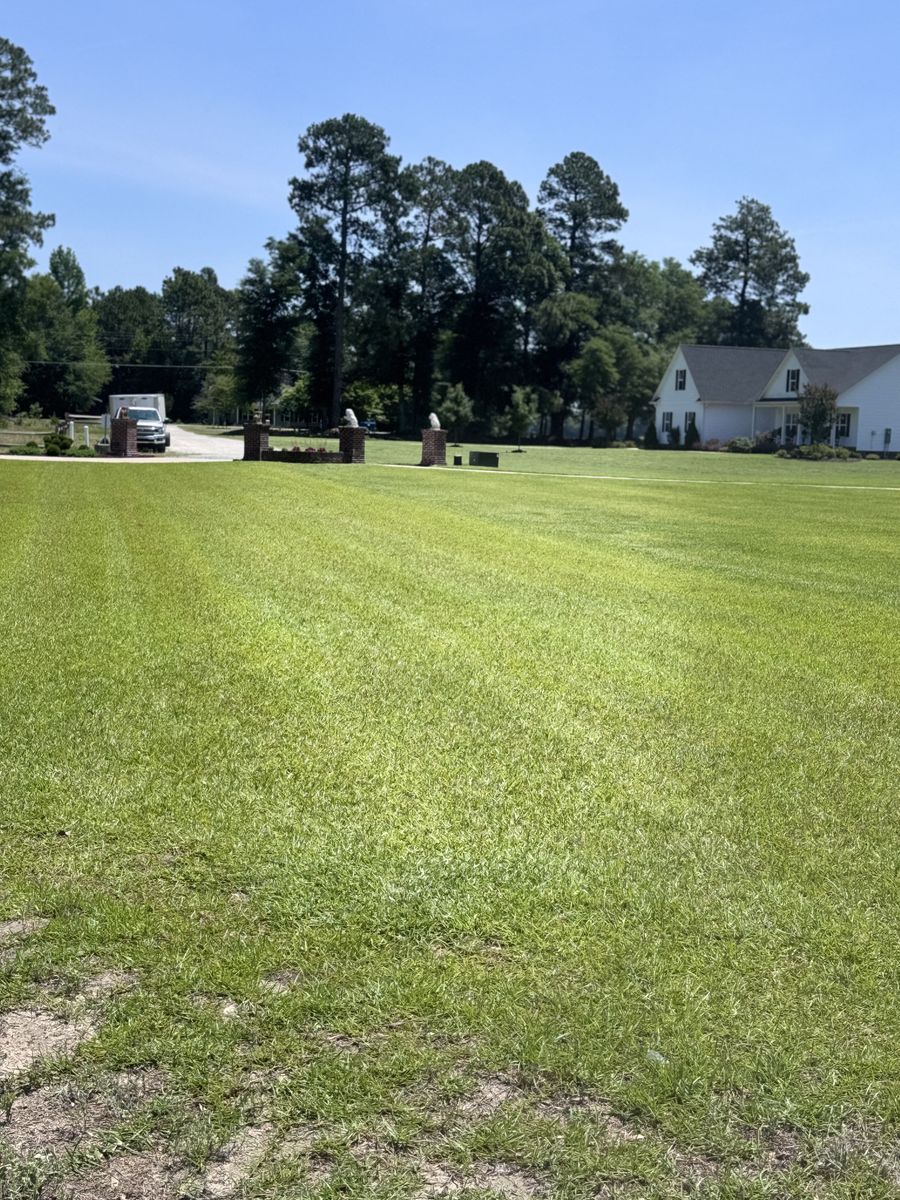 Lawn Maintenance for Trinity Landscapes  in Lumberton, NC