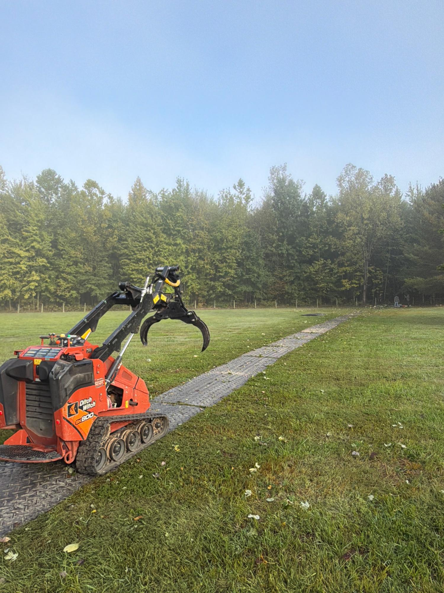 Tree Health Inspection for Anstaetts Tree Service in Batavia, OH