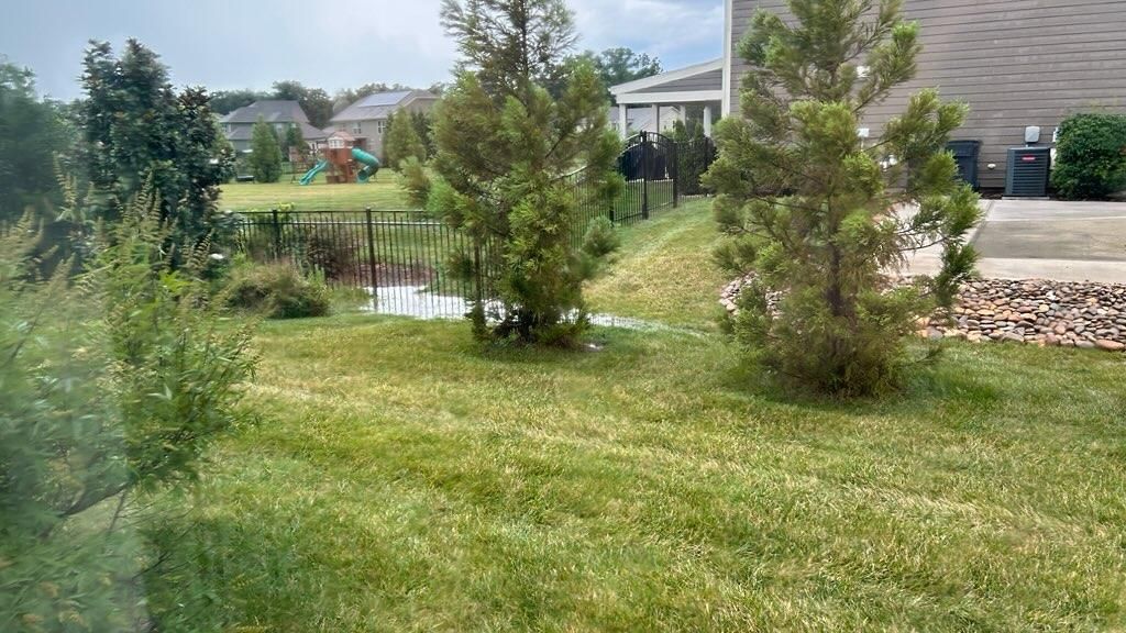 Catch Basins for Drain My lawn in Charlotte, NC