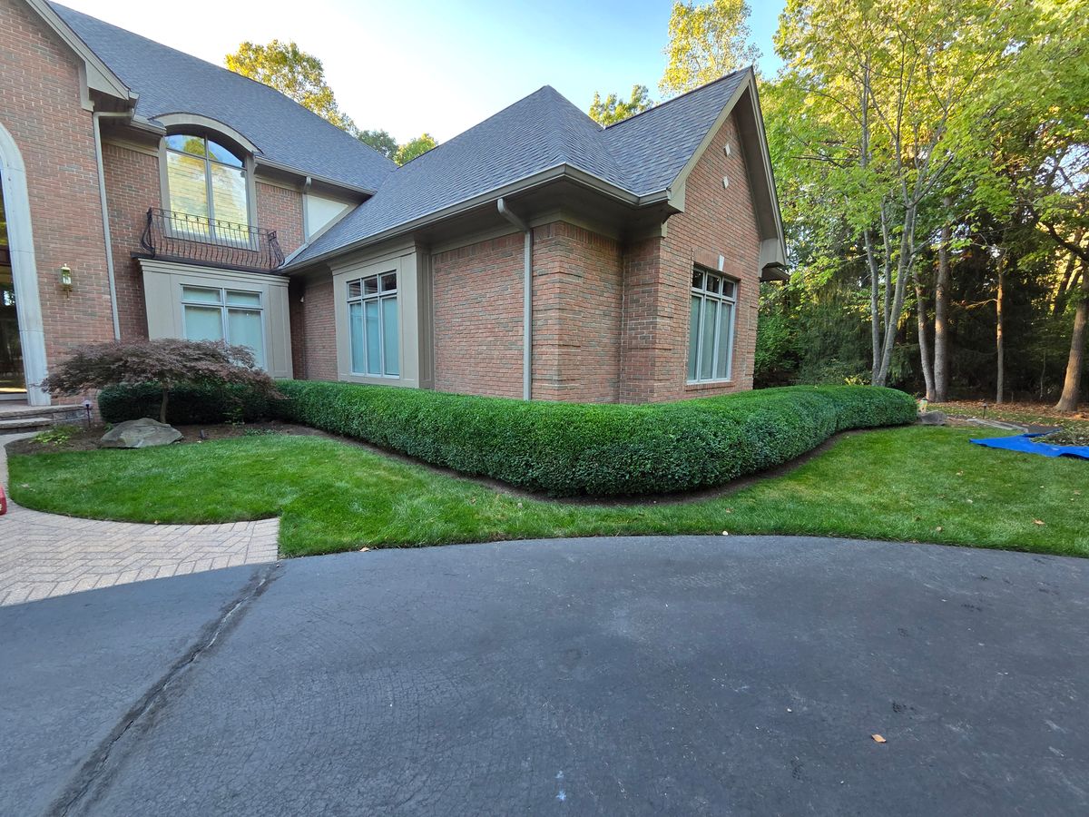 Tree & Shrub Care for Howell Hardscape Inc in Brighton, MI