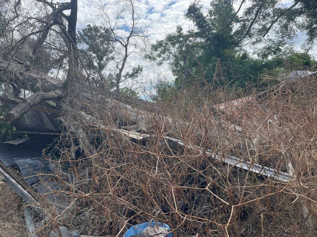 Land Clearing & Demolition for Ewc Land Clearing and more in Lake Park, GA