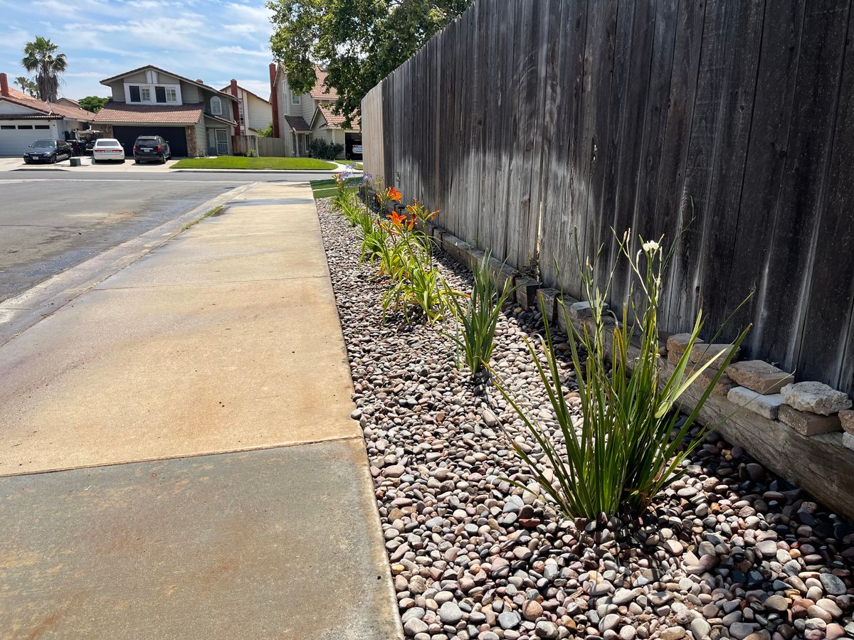 Drought Tolerant Landscapes for Aidan Jade Landscaping in Riverside County, CA