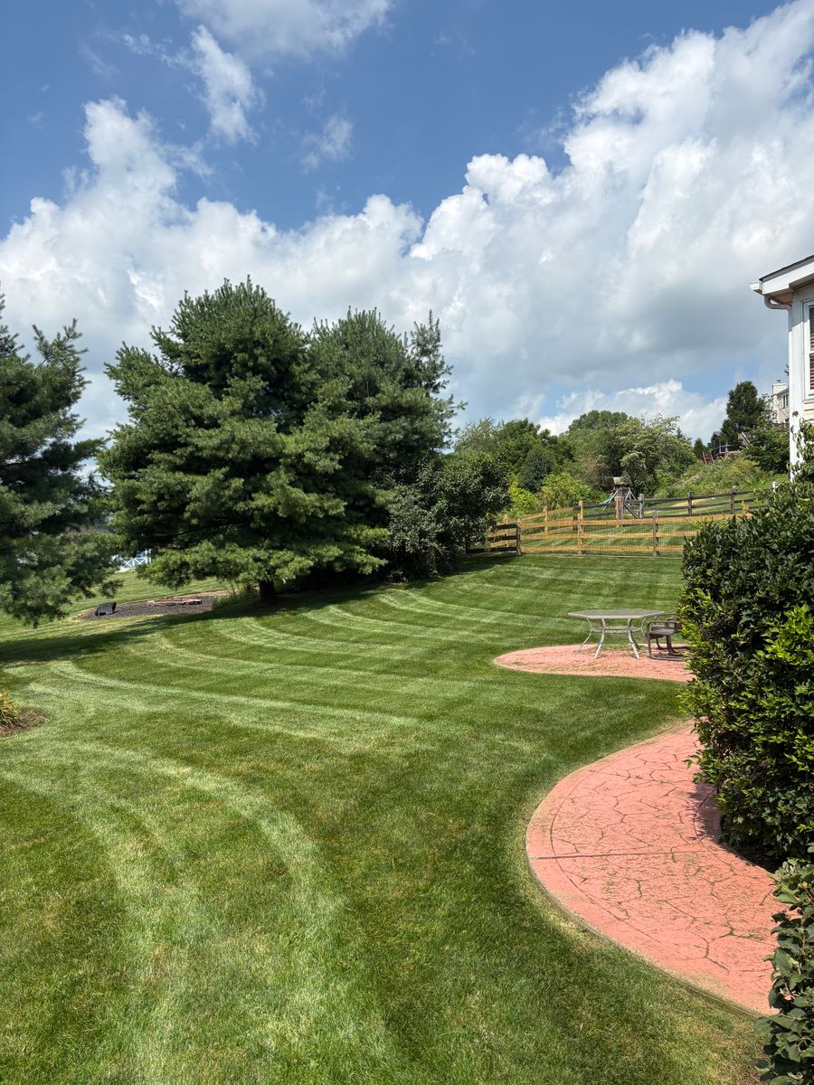 Tree Trimming for Cam Yardz in Washington, PA