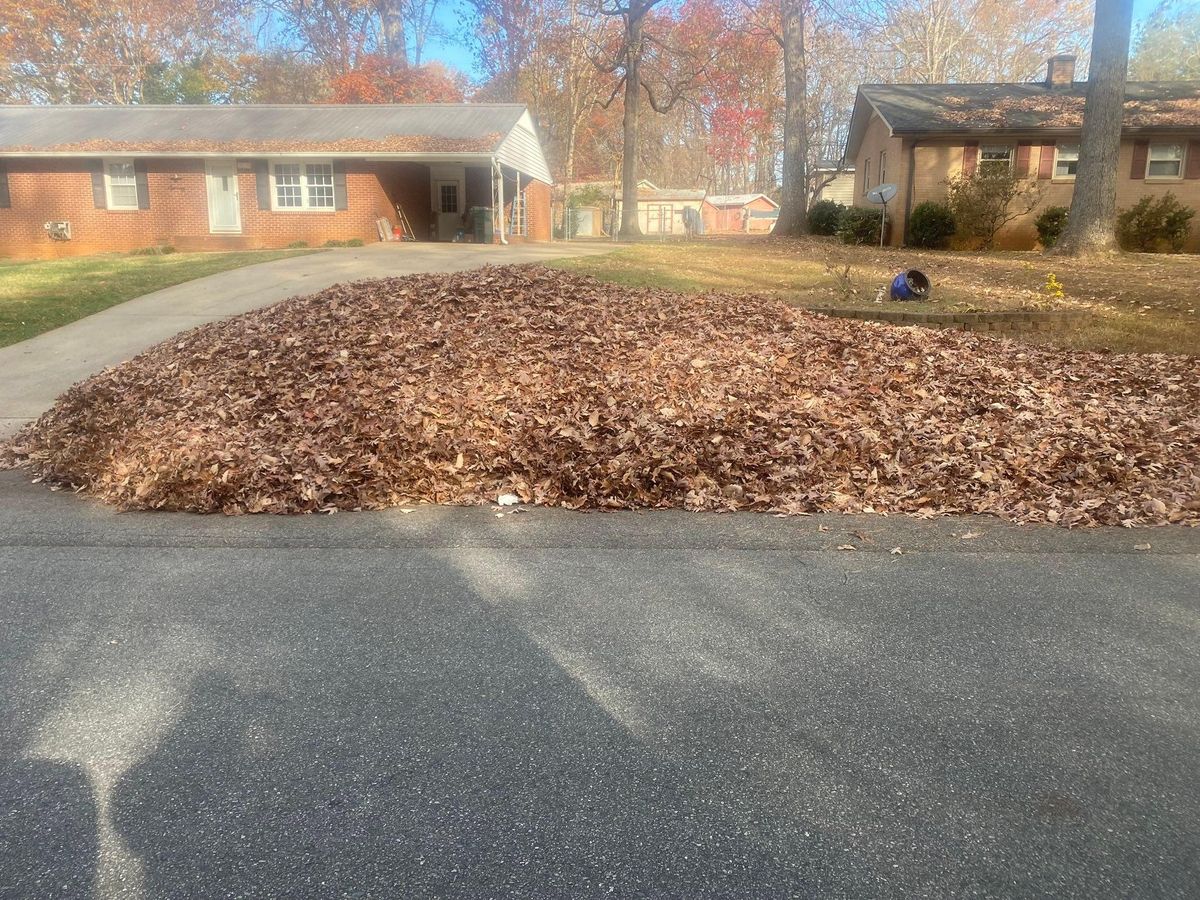 Leaf Clean Up for America's Top Pick Lawn & Landscaping in Gastonia, NC