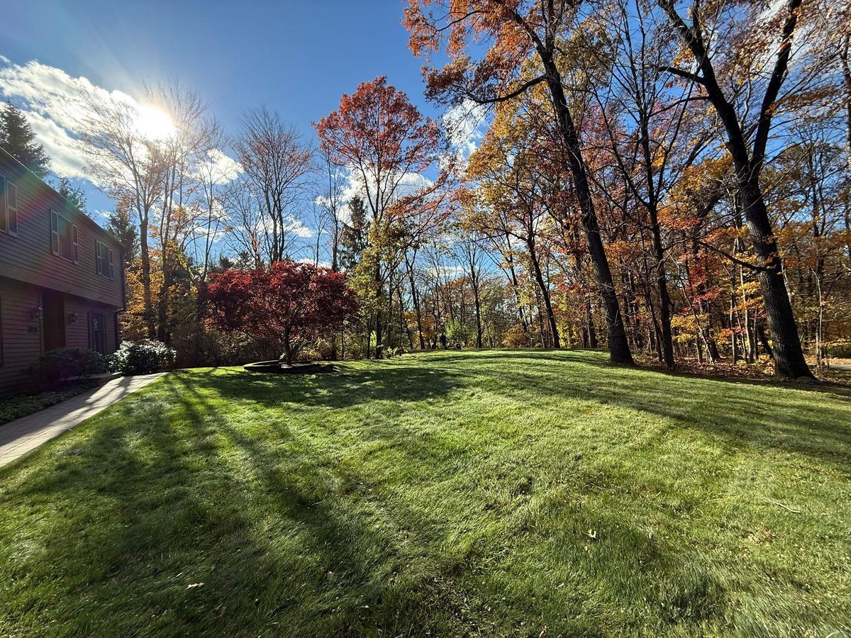 Fall & Spring Maintenance for Ardisi Property Maintenance LLC in Poughkeepsie, NY 