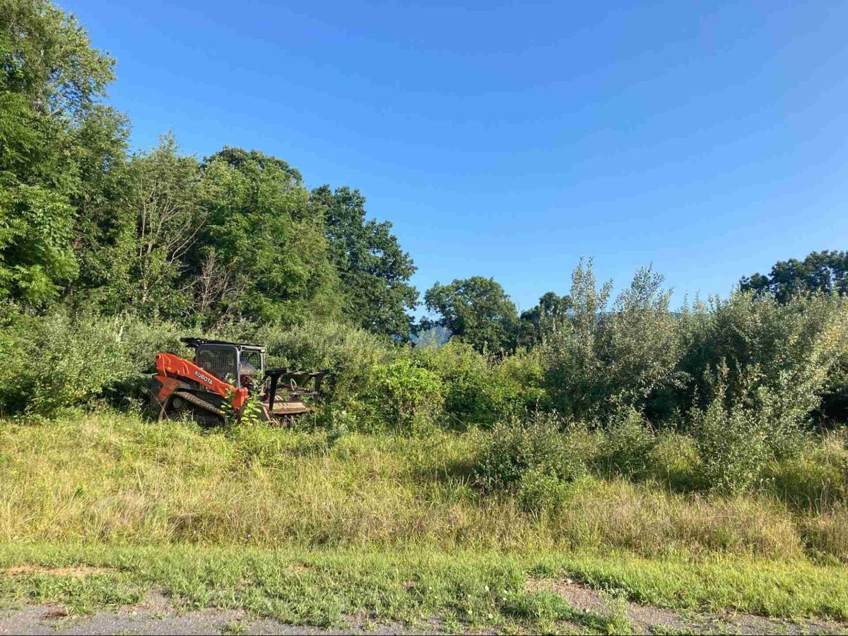 Brush Clearing for Otis Lee Stump Grinding LLC in Elgin, SC