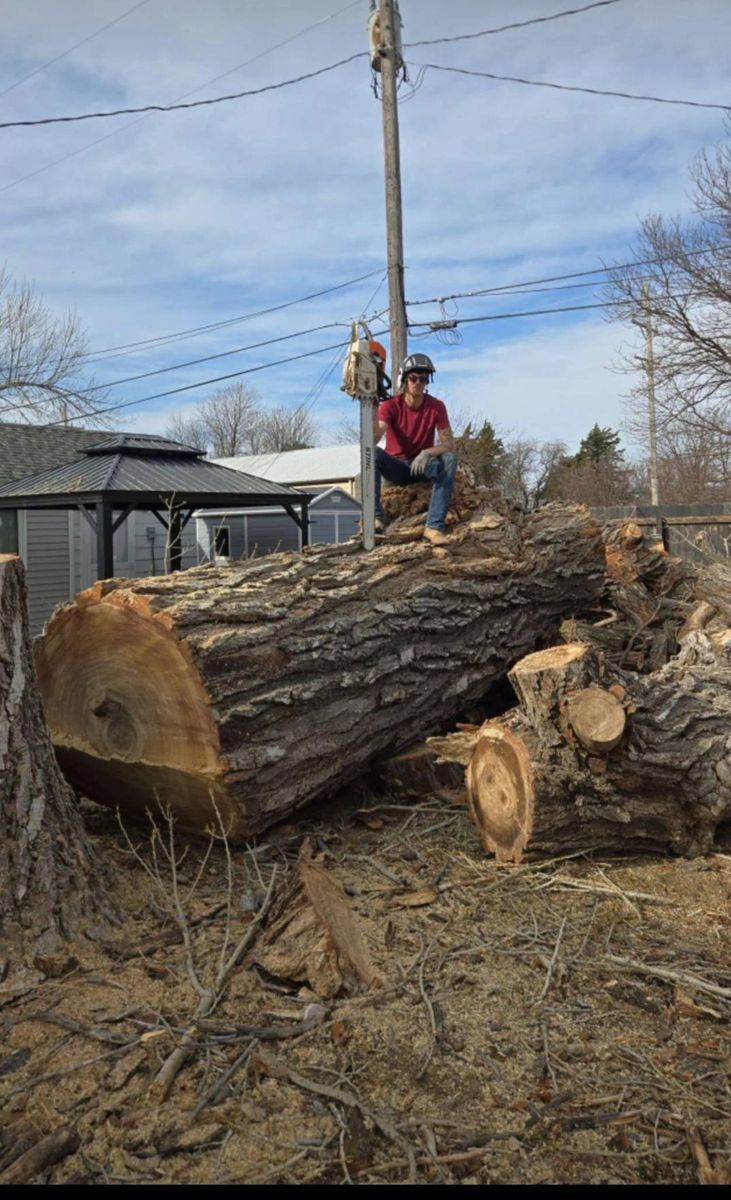 Tree Removal for SMH Tree Service in Atwood, KS